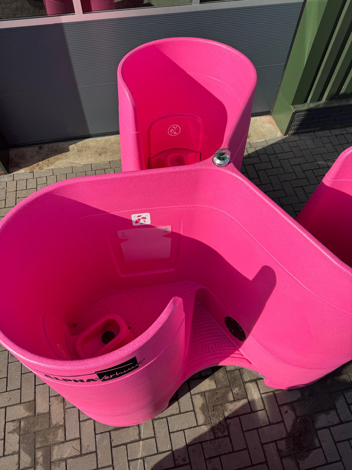 Lapee vrouwenplaskruis - Afbeelding 2